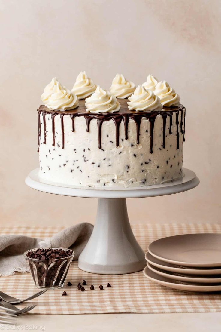 Chocolate Chip Cake with Ganache Drip